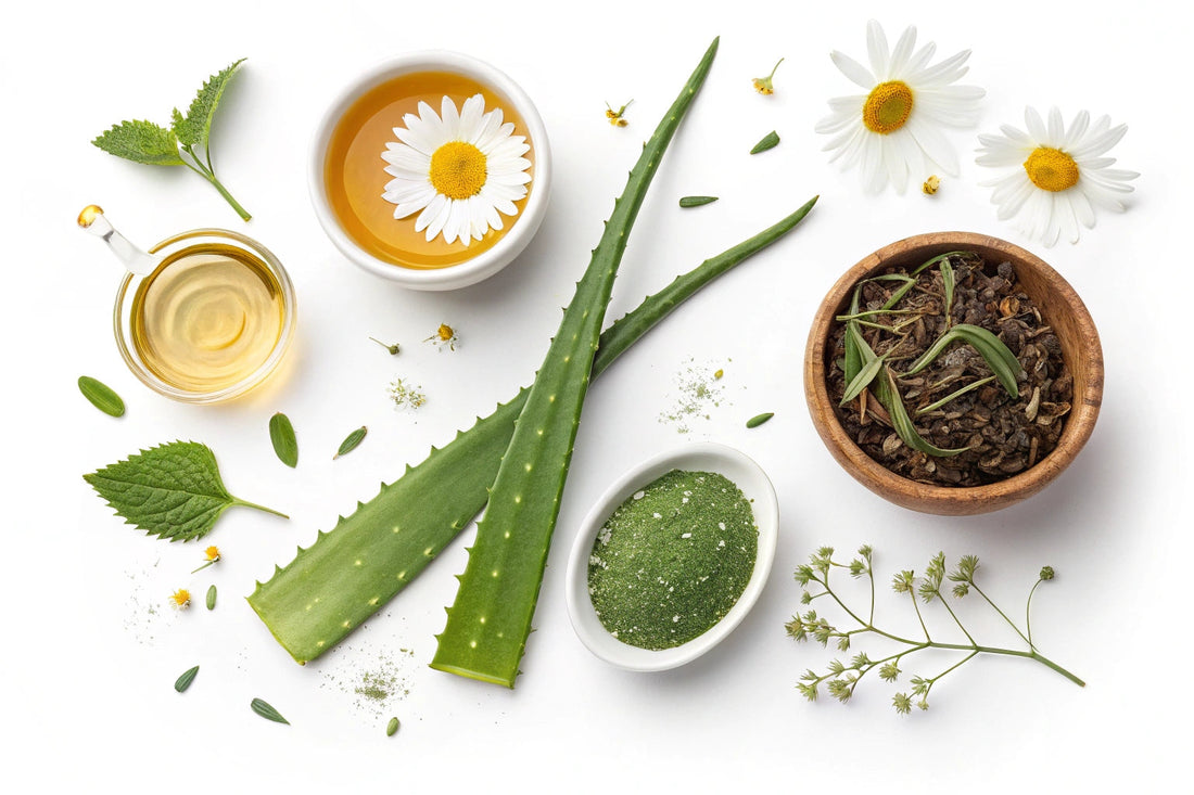 Los ingredientes naturales más efectivos para el cuidado facial masculino